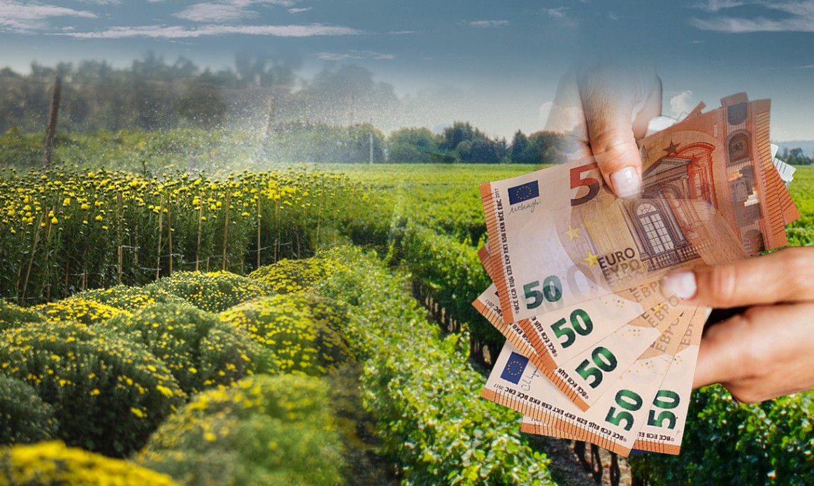 Ζυμώσεις και παρασκήνιο για τις αγροτικές επιδοτήσεις την επόμενη 5 ετία 